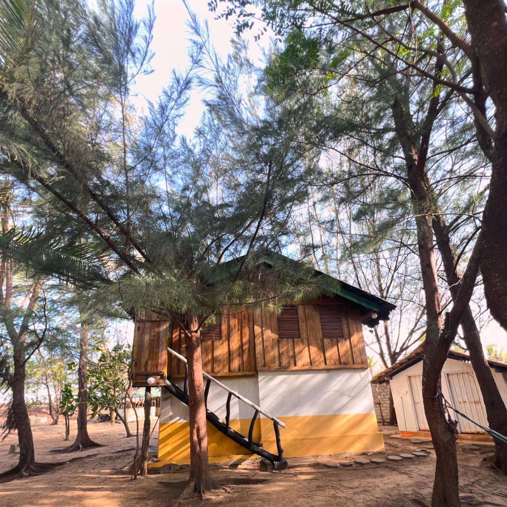 Sand Dune Beach Resort & Surf Camp อารูกัมเบย์ ภายนอก รูปภาพ