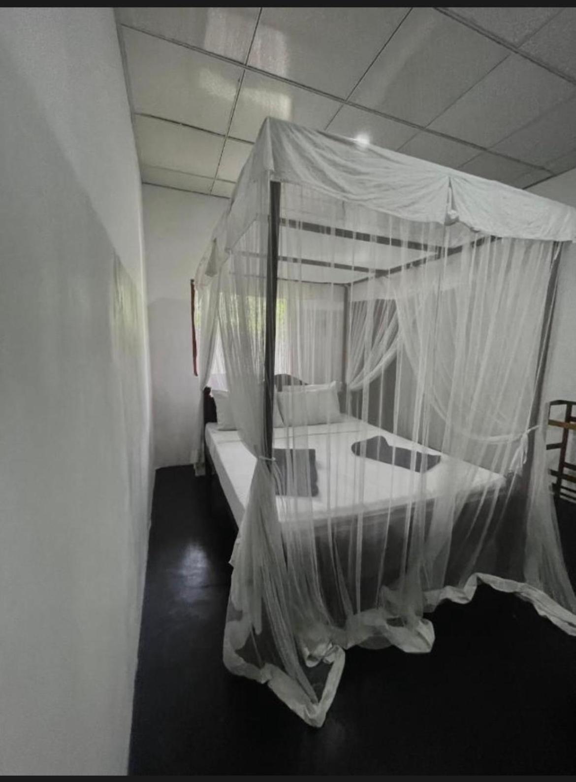 Sand Dune Beach Resort & Surf Camp อารูกัมเบย์ ภายนอก รูปภาพ